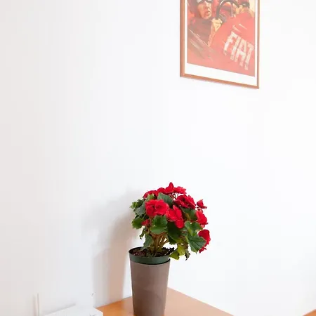 Appartement Domus 3 *